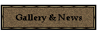 Gallery & News