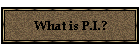 What is P.I.?